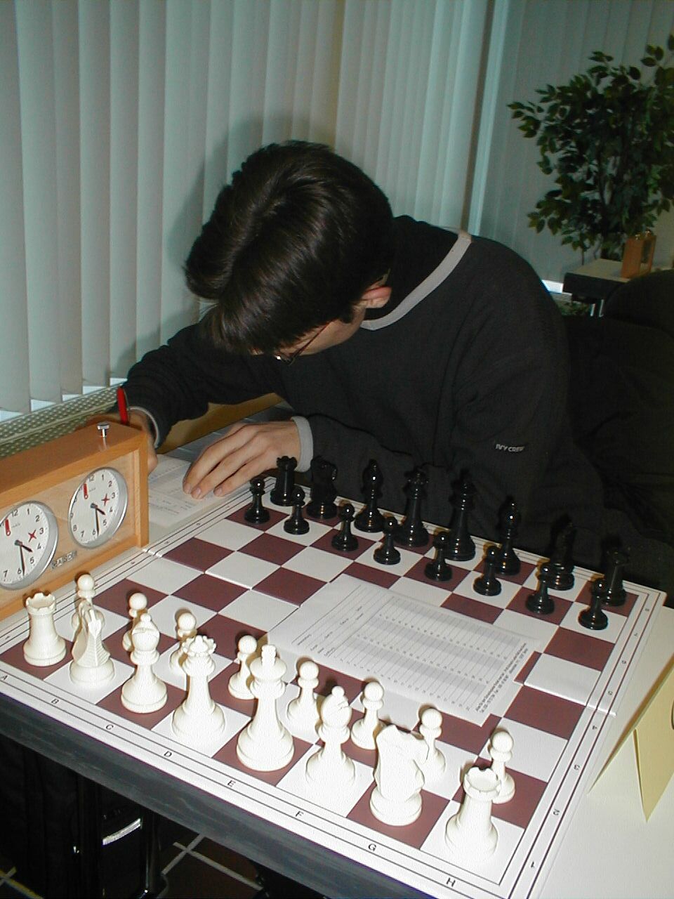 Vorschau
